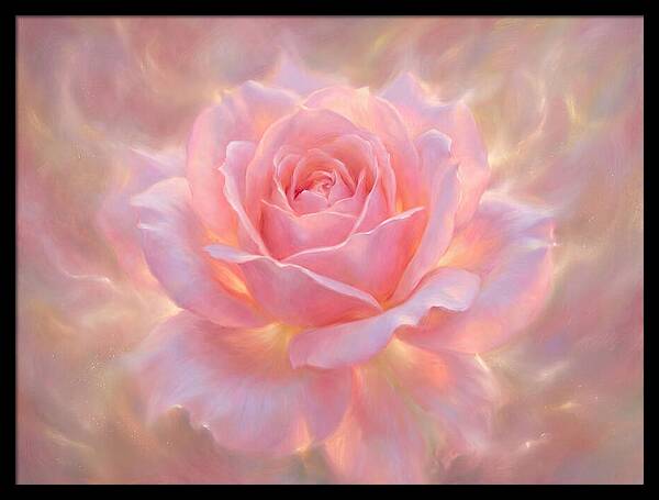 Pink Rose Blossom