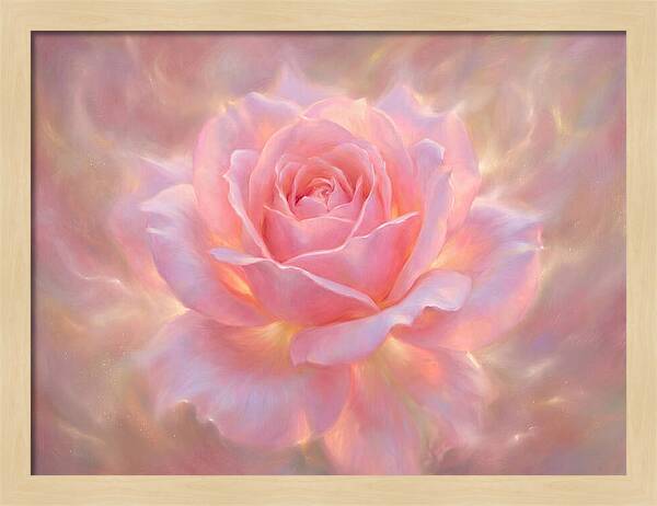 Pink Rose Blossom