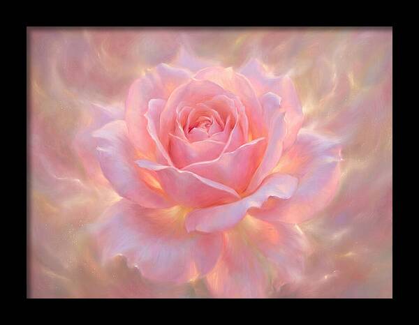 Pink Rose Blossom