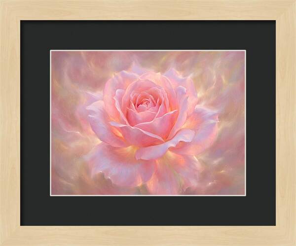 Pink Rose Blossom