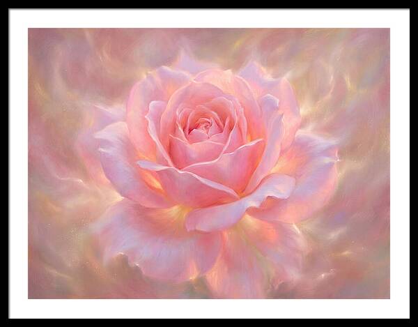 Pink Rose Blossom