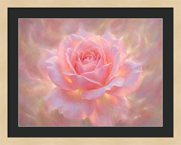 Pink Rose Blossom