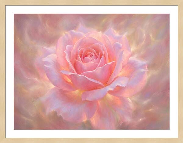 Pink Rose Blossom
