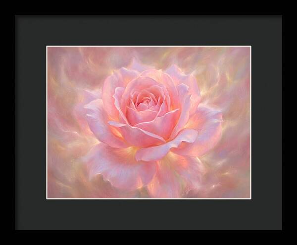 Pink Rose Blossom