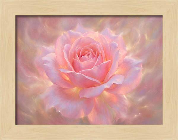 Pink Rose Blossom