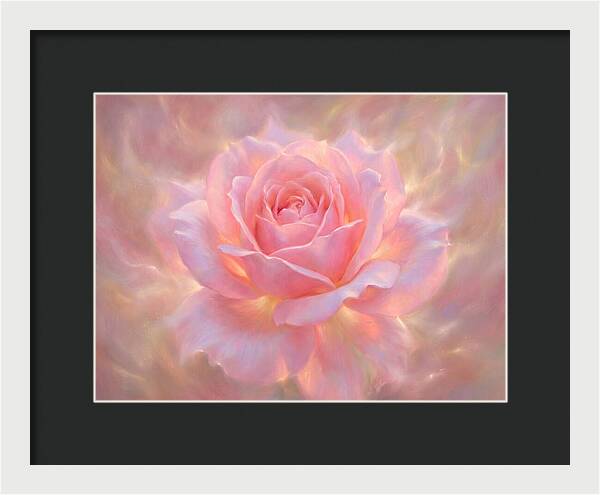 Pink Rose Blossom