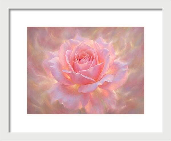 Pink Rose Blossom