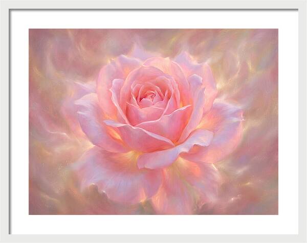 Pink Rose Blossom