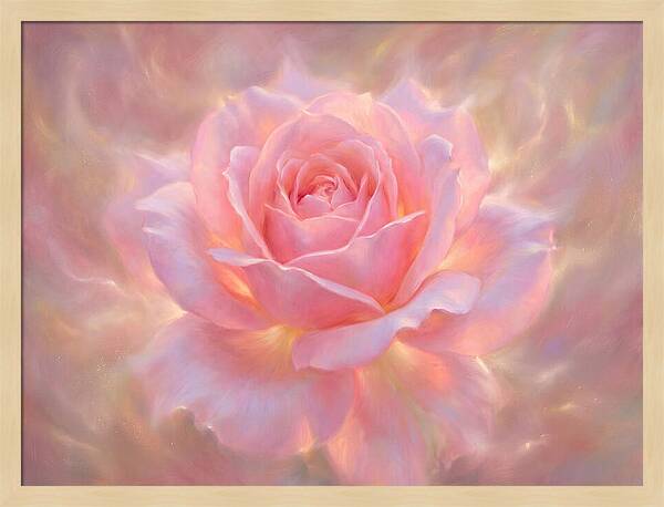 Pink Rose Blossom