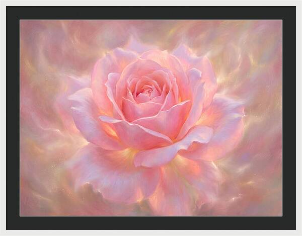 Pink Rose Blossom
