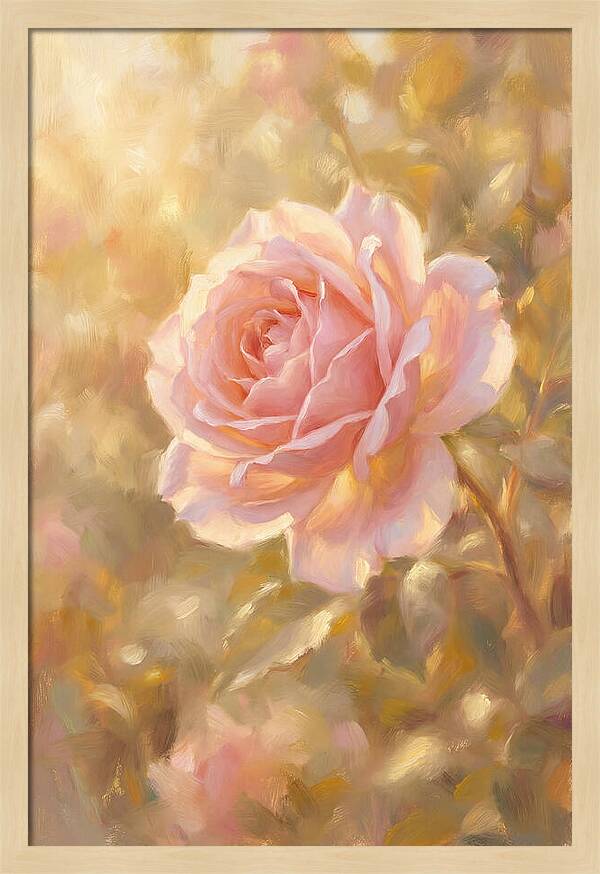 Pink Rose In Soft Light
