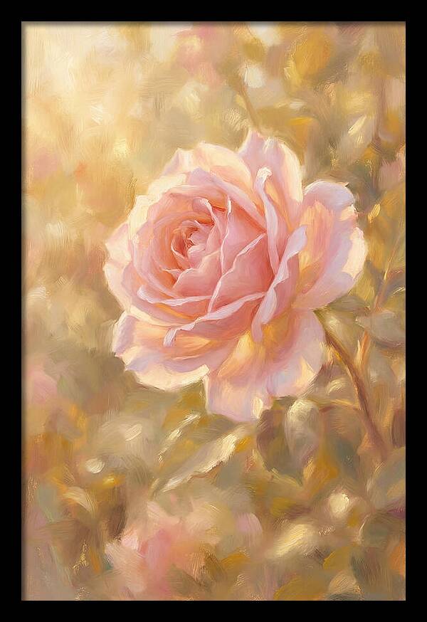 Pink Rose In Soft Light