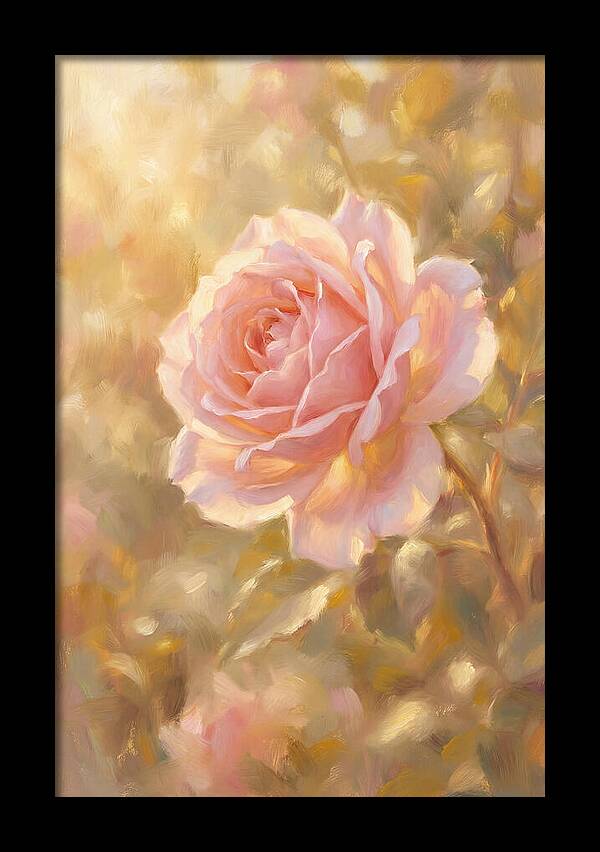 Pink Rose In Soft Light