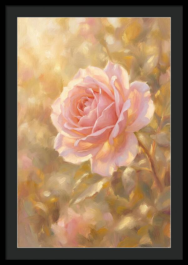 Pink Rose In Soft Light