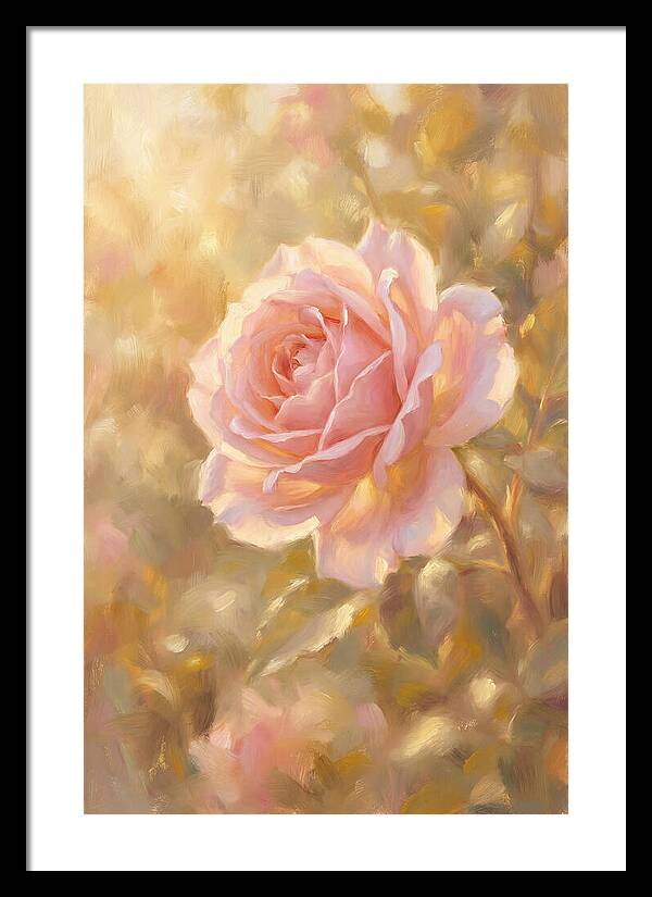 Pink Rose In Soft Light