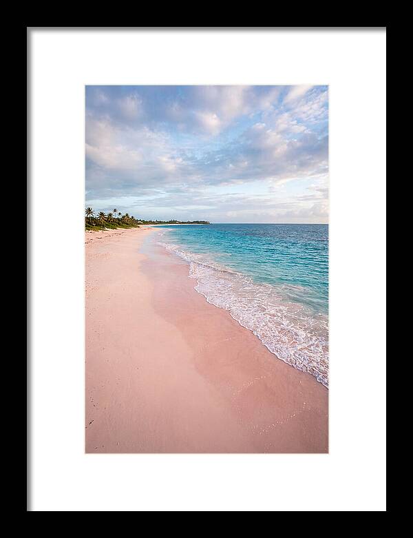 Pink Sand Beach Serenity
