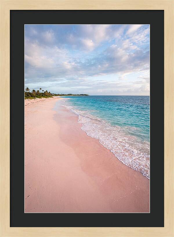Pink Sand Beach Serenity