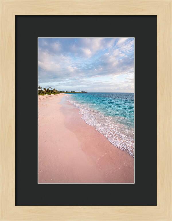 Pink Sand Beach Serenity
