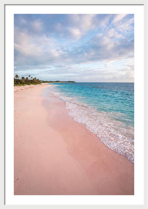 Pink Sand Beach Serenity
