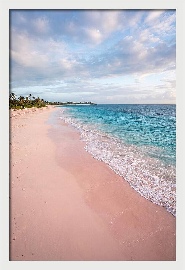 Pink Sand Beach Serenity