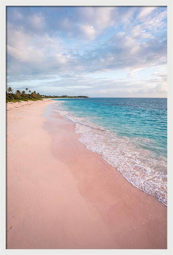 Pink Sand Beach Serenity