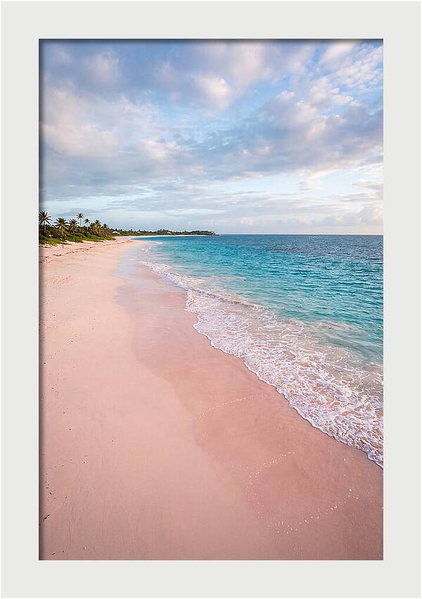 Pink Sand Beach Serenity