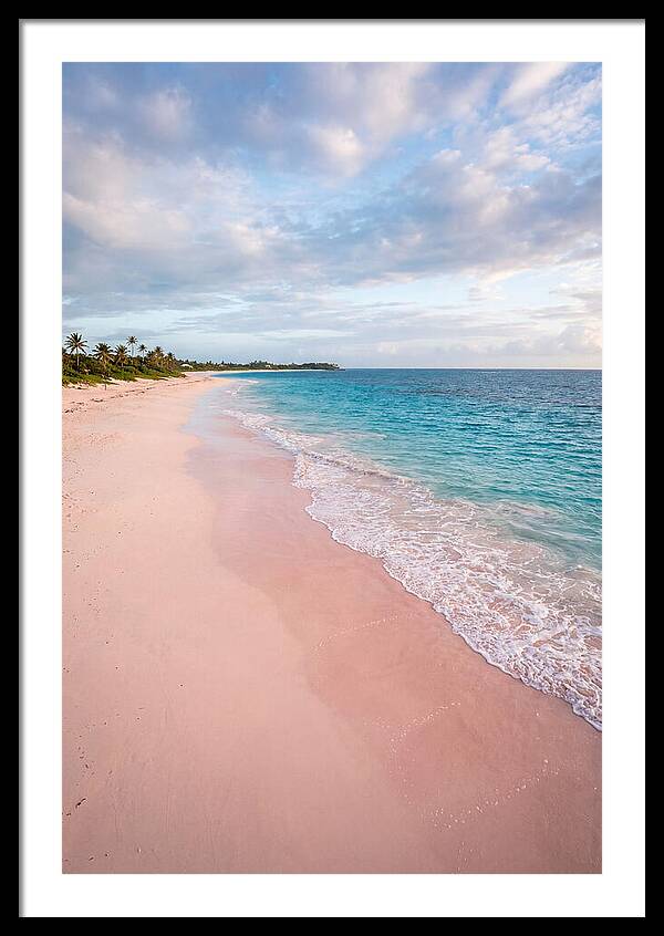 Pink Sand Beach Serenity