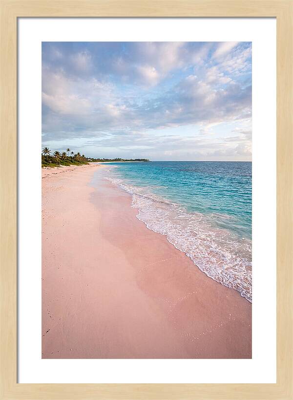 Pink Sand Beach Serenity