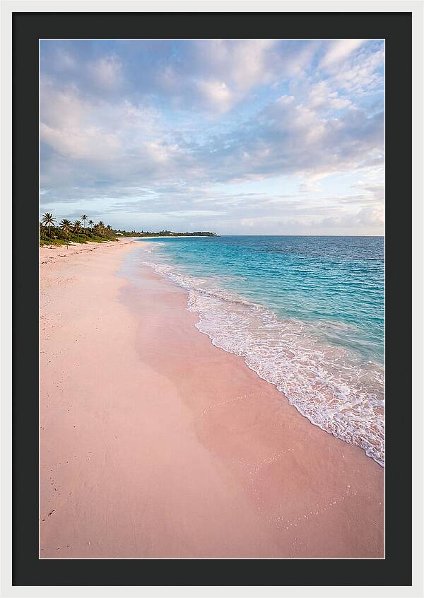 Pink Sand Beach Serenity