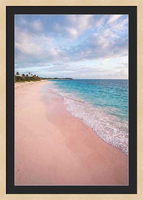 Pink Sand Beach Serenity