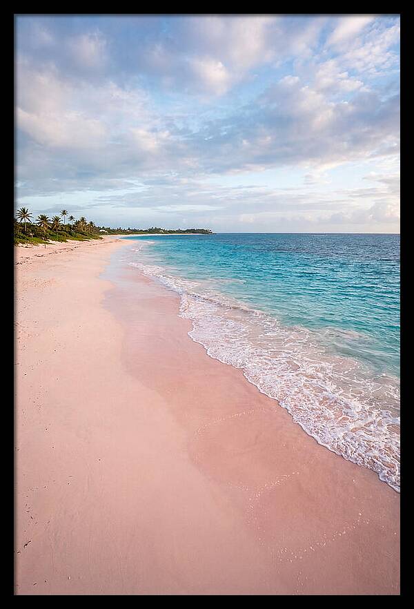 Pink Sand Beach Serenity