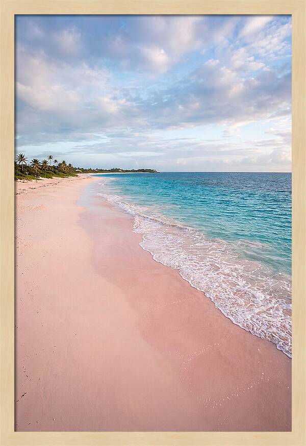 Pink Sand Beach Serenity