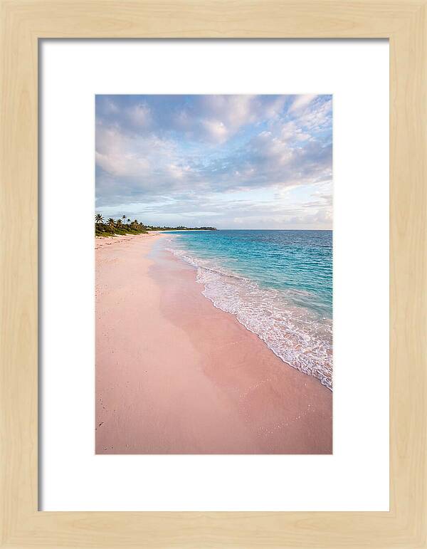Pink Sand Beach Serenity