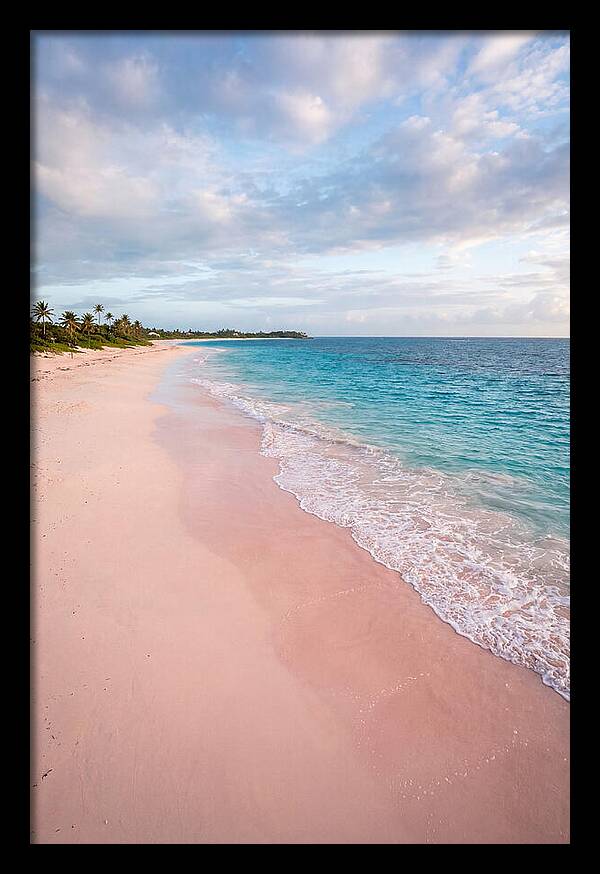 Pink Sand Beach Serenity