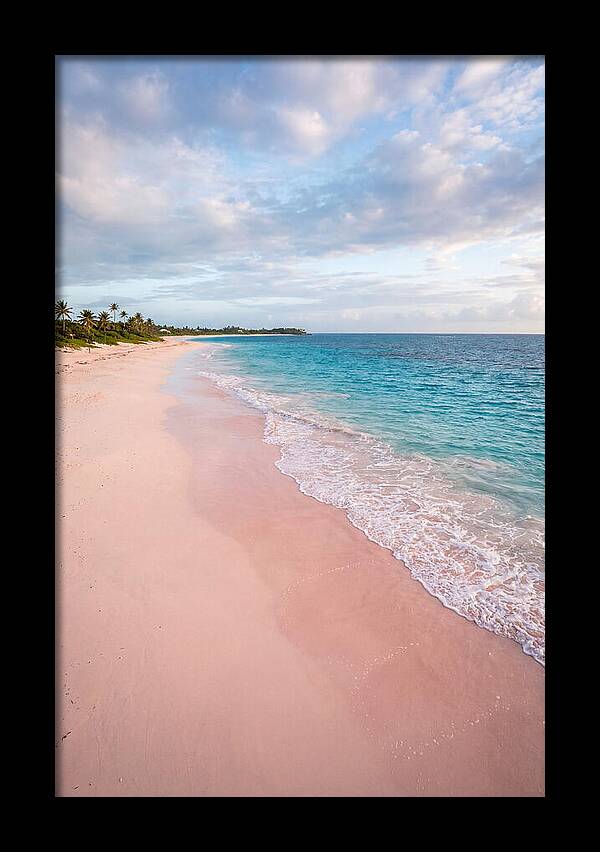 Pink Sand Beach Serenity