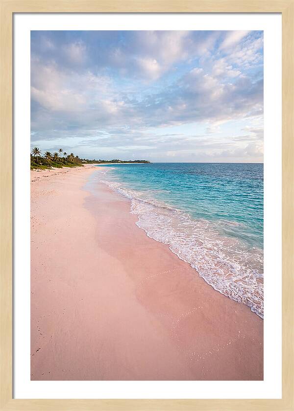 Pink Sand Beach Serenity