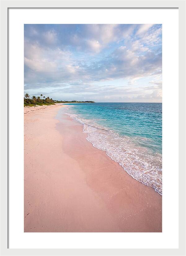 Pink Sand Beach Serenity