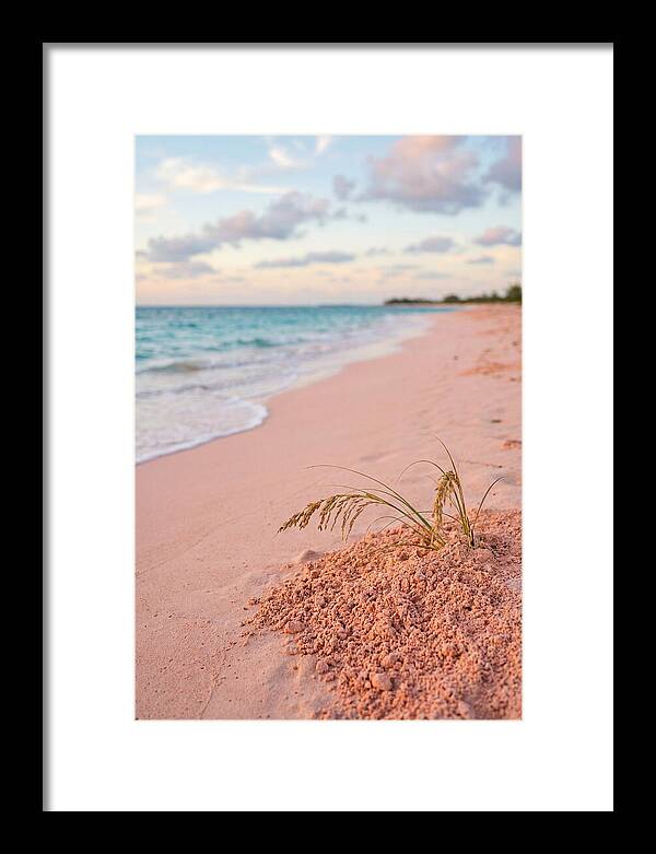 Pink Sand Serenity