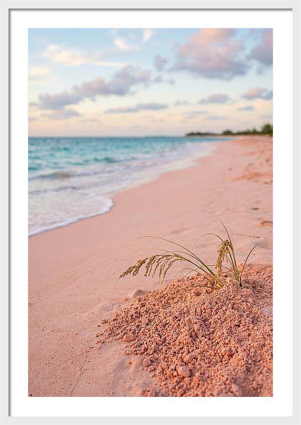 Pink Sand Serenity