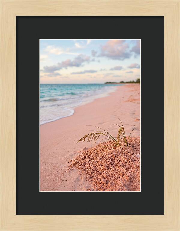 Pink Sand Serenity