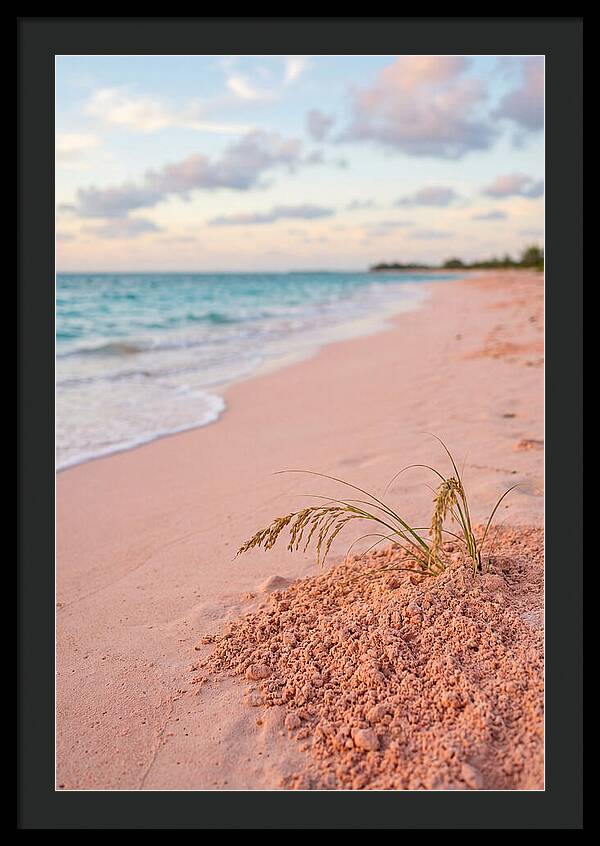 Pink Sand Serenity