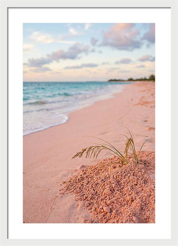Pink Sand Serenity