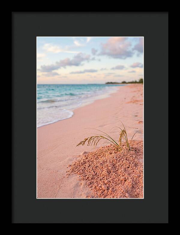 Pink Sand Serenity