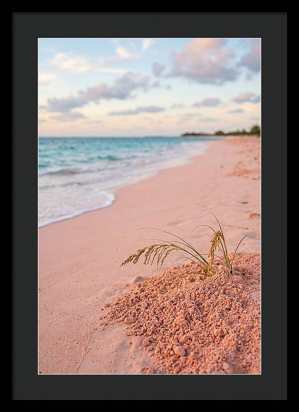 Pink Sand Serenity