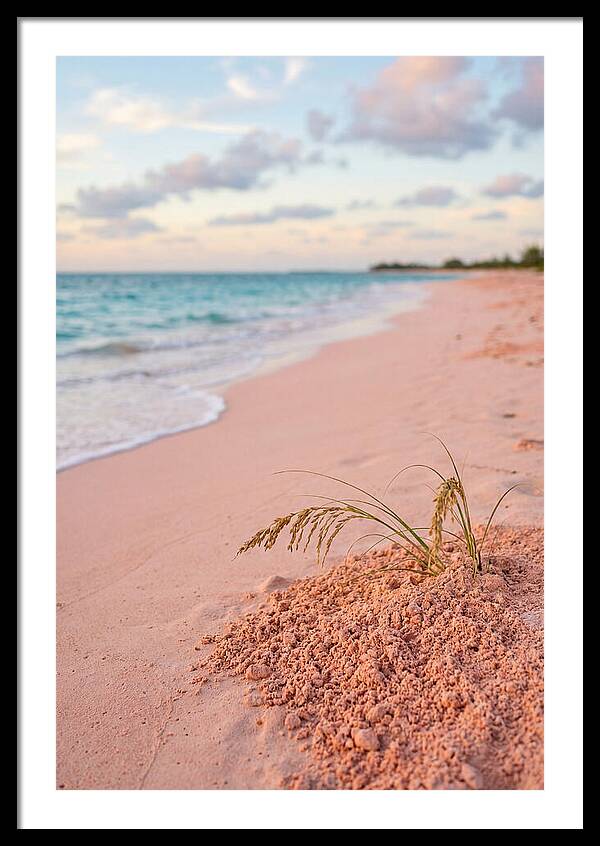 Pink Sand Serenity