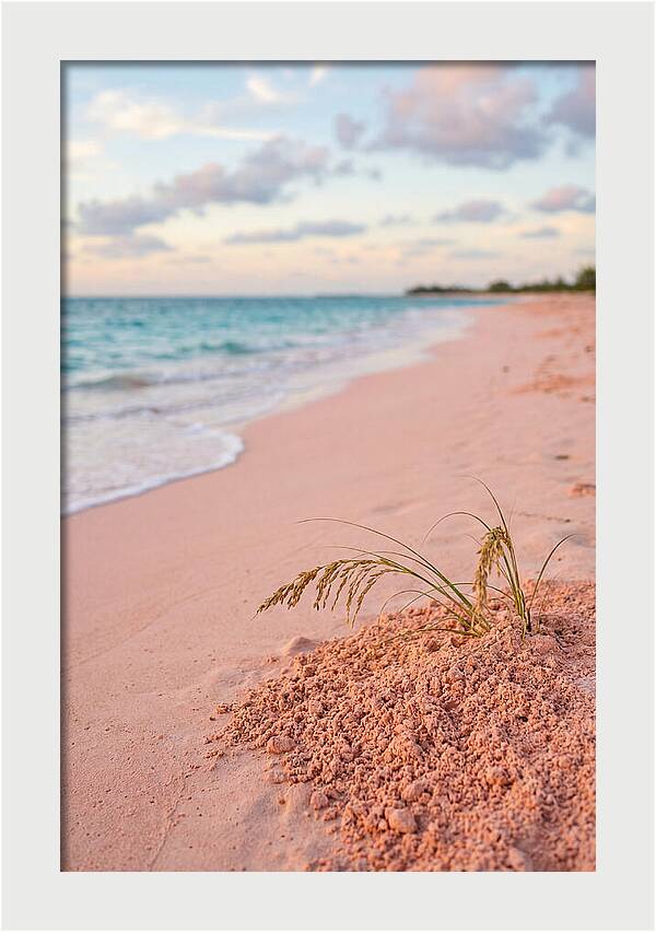 Pink Sand Serenity
