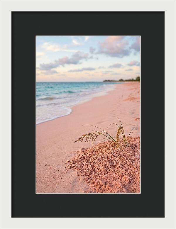 Pink Sand Serenity