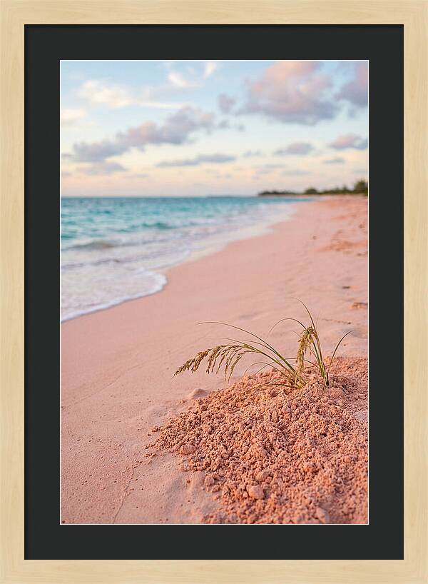 Pink Sand Serenity
