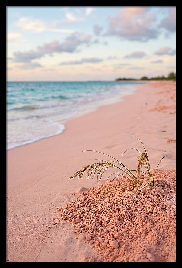 Pink Sand Serenity