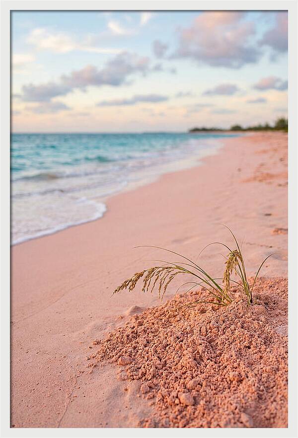 Pink Sand Serenity
